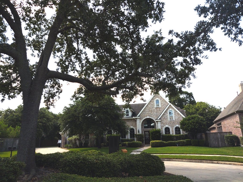 pecan grove