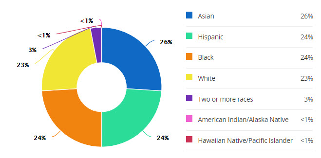 schools-dulles-jr-demographics