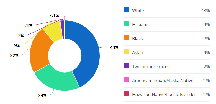 schools-reading-jr-demographics