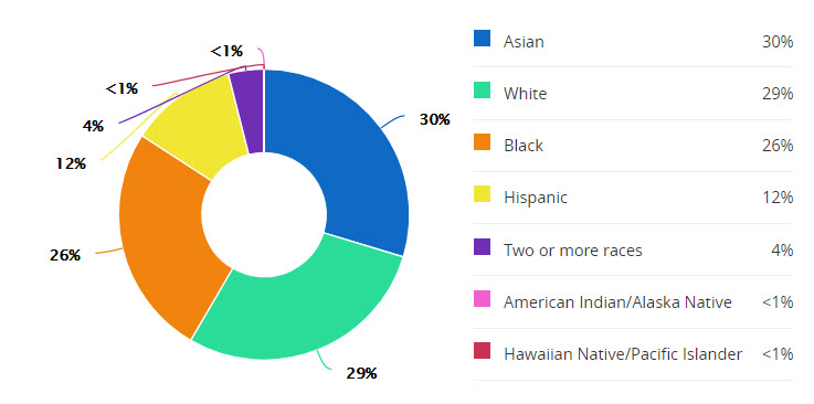 schools-schiff-elem-demographics