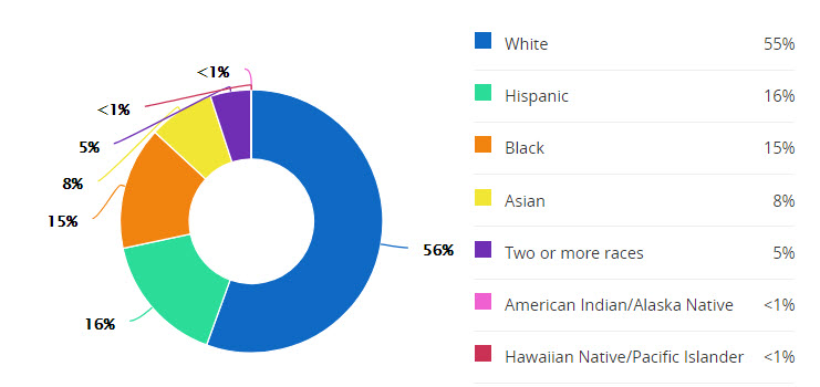 schools-sienna-crossing-elem-demographics