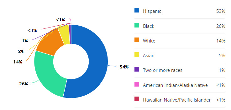 schools-wessendorff-jr-demographics